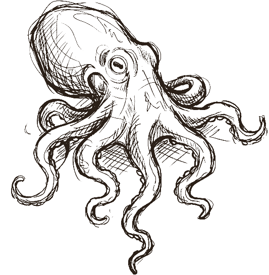 Ink sketch of an octopus